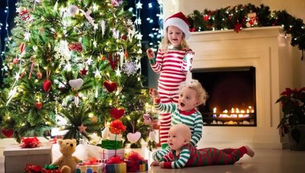 Готовим елку к Рождеству: полезные рекомендации