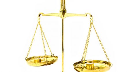 Как выбрать подходящие весы для дома или работы