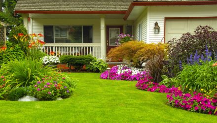 Как создать функциональный сад?