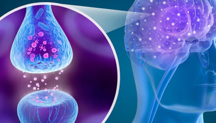 Нейромедиаторы и зависимость: Как химия мозга управляет нашим поведением