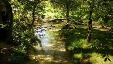 Путешествие в мире красоты природы