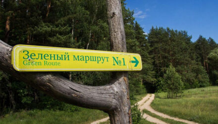 Экологические маршруты для путешествий