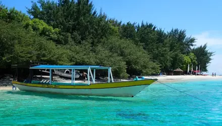 Путешествие на экзотические острова